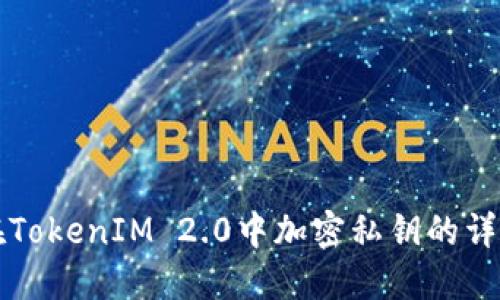 如何在TokenIM 2.0中加密私钥的详细指南