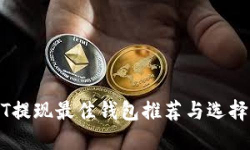 USDT提现最佳钱包推荐与选择指南