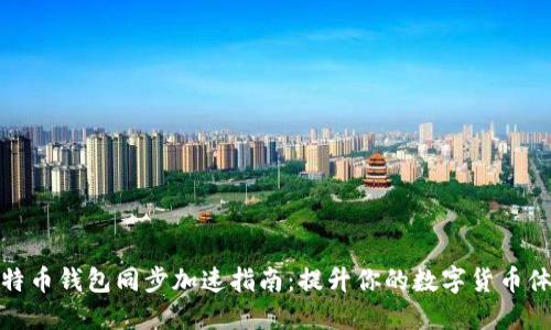 比特币钱包同步加速指南：提升你的数字货币体验