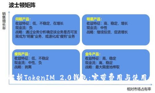 全面解析TokenIM 2.0钱包：宽带费用与使用体验