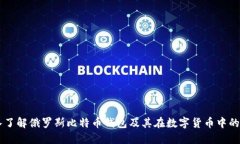 深入了解俄罗斯比特币钱