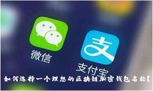 如何选择一个理想的区块链加密钱包名称？