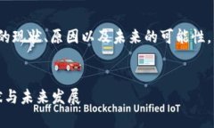 在这里我们将探讨Tokenim 2.0项目的现状、原因以及