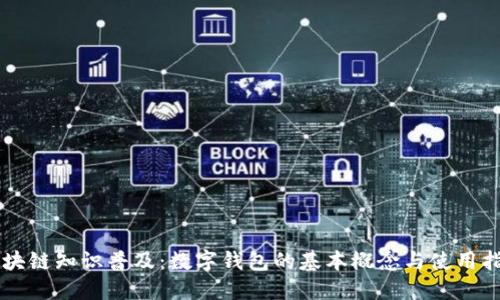 区块链知识普及：数字钱包的基本概念与使用指南