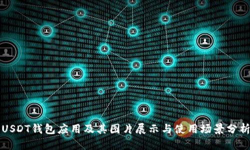USDT钱包应用及其图片展示与使用场景分析