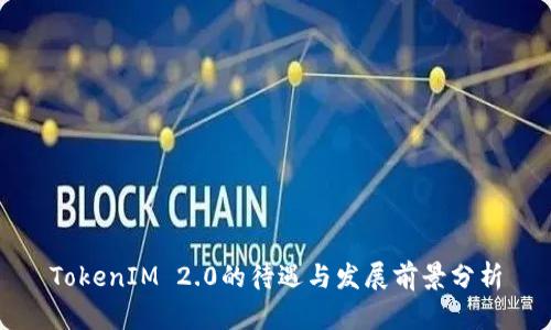 TokenIM 2.0的待遇与发展前景分析