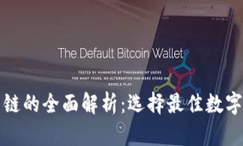 钱包区块链公链的全面解析:选择最佳数字资产管理工具