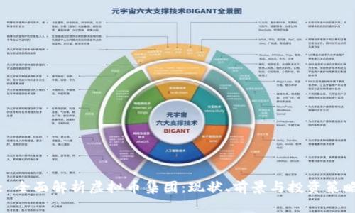 : 全面解析虚拟币集团：现状、前景与投资策略