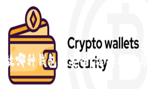 USDT放哪种钱包最安全？选择指南与推荐