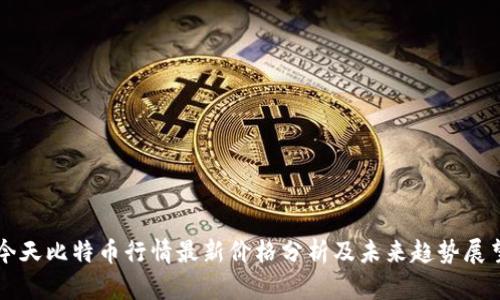 今天比特币行情最新价格分析及未来趋势展望