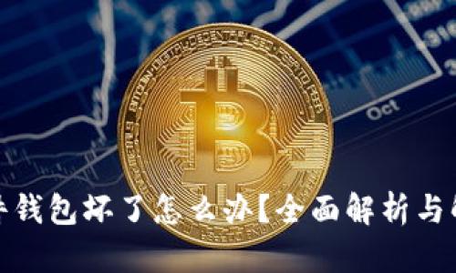 加密硬件钱包坏了怎么办？全面解析与解决方案