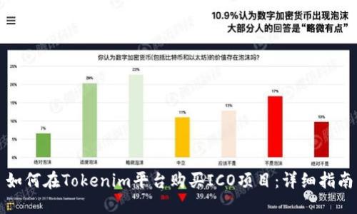 如何在Tokenim平台购买ICO项目：详细指南