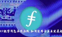 DCEP数字钱包正式上线：如