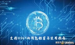 支持USDT的钱包推荐与使用