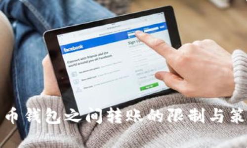 加密货币钱包之间转账的限制与策略分析