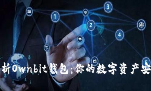 全面解析Ownbit钱包：你的数字资产安全之选