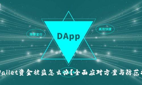 TPWallet资金被盗怎么办？全面应对方案与防范措施