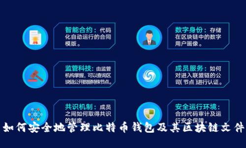 如何安全地管理比特币钱包及其区块链文件