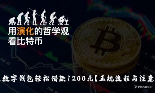 如何通过数字钱包轻松借款1200元？正规流程与注意事项解析