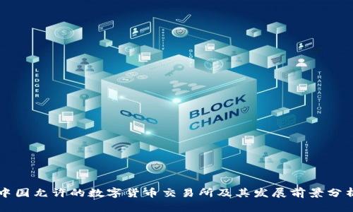 中国允许的数字货币交易所及其发展前景分析
