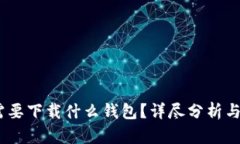 转USDT需要下载什么钱包？