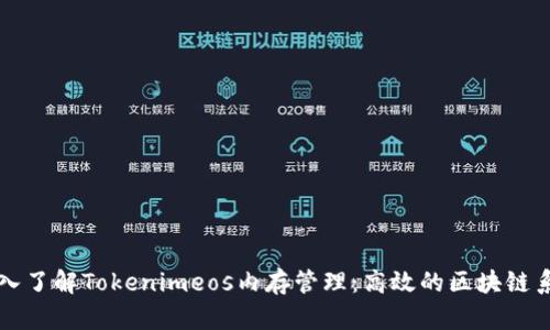 深入了解Tokenimeos内存管理：高效的区块链系统