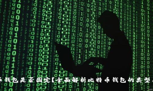 比特币钱包是否固定？全面解析比特币钱包的类型与特性