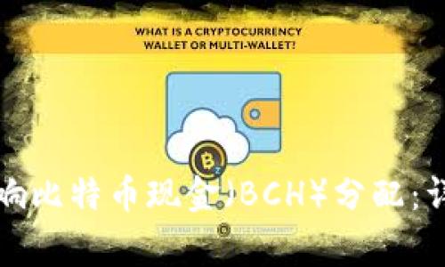 比特币钱包如何影响比特币现金（BCH）分配：详解及常见问题解答