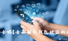 TokenPocket安全吗？全面解析