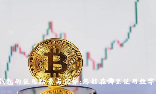 数字钱包的使用场景与优势：您能在哪里使用数字钱包？