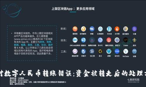 应对数字人民币转账错误：资金被转走后的处理方案