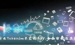为什么Tokenim不支持BSV：全面分析及其影响