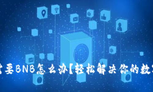 tpwallet交易需要BNB怎么办？轻松解决你的数字货币交易问题