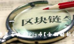tpwallet中是否支持Pig币？全