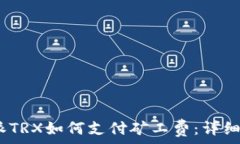   biaso比特派TRX如何支付矿工费：详细教程与技巧
