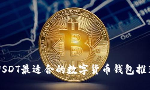 USDT最适合的数字货币钱包推荐