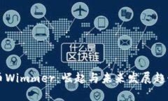 虚拟币Wimmer：崛起与未来发展趋势解析