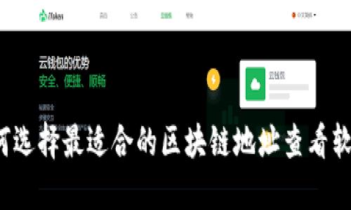 如何选择最适合的区块链地址查看软件？