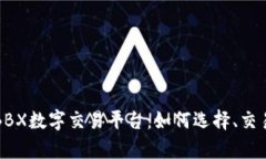 深入解析BBX数字交易平台