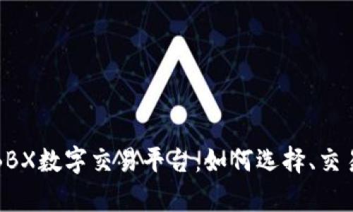 深入解析BBX数字交易平台：如何选择、交易与安全性