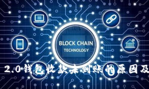 Tokenim 2.0钱包收款未到账的原因及解决方案