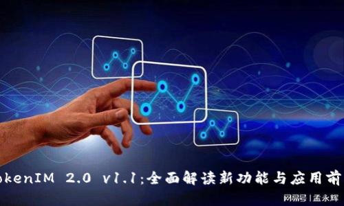 TokenIM 2.0 v1.1：全面解读新功能与应用前景