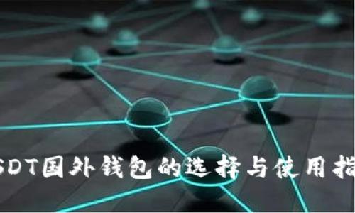 USDT国外钱包的选择与使用指南