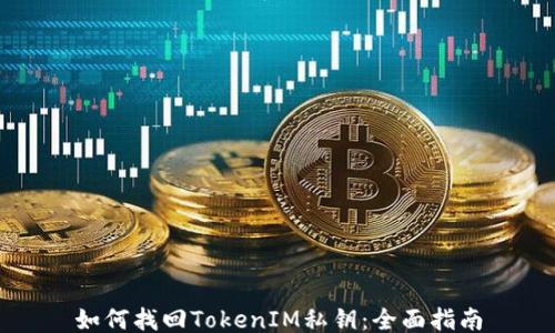 
如何找回TokenIM私钥：全面指南