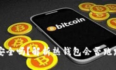 热钱包安全吗？解析热钱