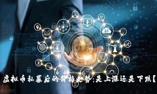 虚拟币私募后的价格走势：是上涨还是下跌？