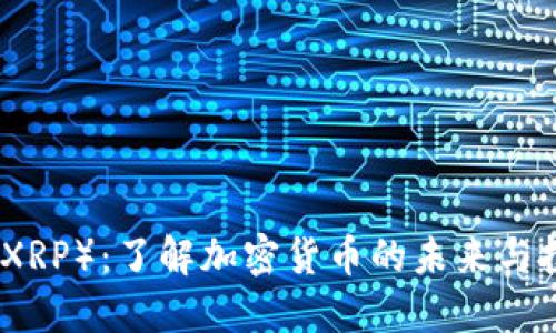 瑞波币（XRP）：了解加密货币的未来与投资机会