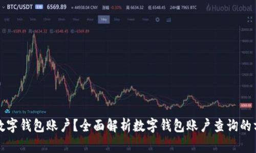 如何查询数字钱包账户？全面解析数字钱包账户查询的方法与技巧