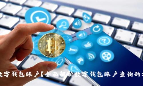 如何查询数字钱包账户？全面解析数字钱包账户查询的方法与技巧