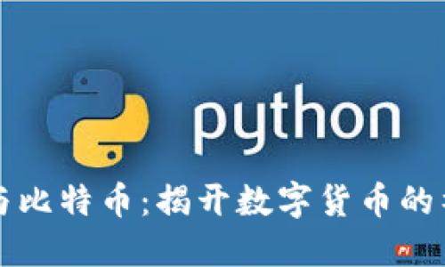中本聪与比特币：揭开数字货币的神秘面纱